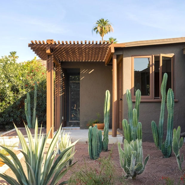 House with cacti garden in front