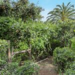 033 1706 Morton Ave 33 723