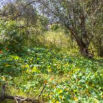 036 1706 Morton Ave 36 998