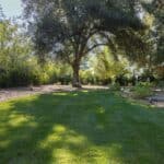 2035 Skyview Dr Photo 31
