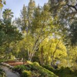 485 Madeline Dr 5