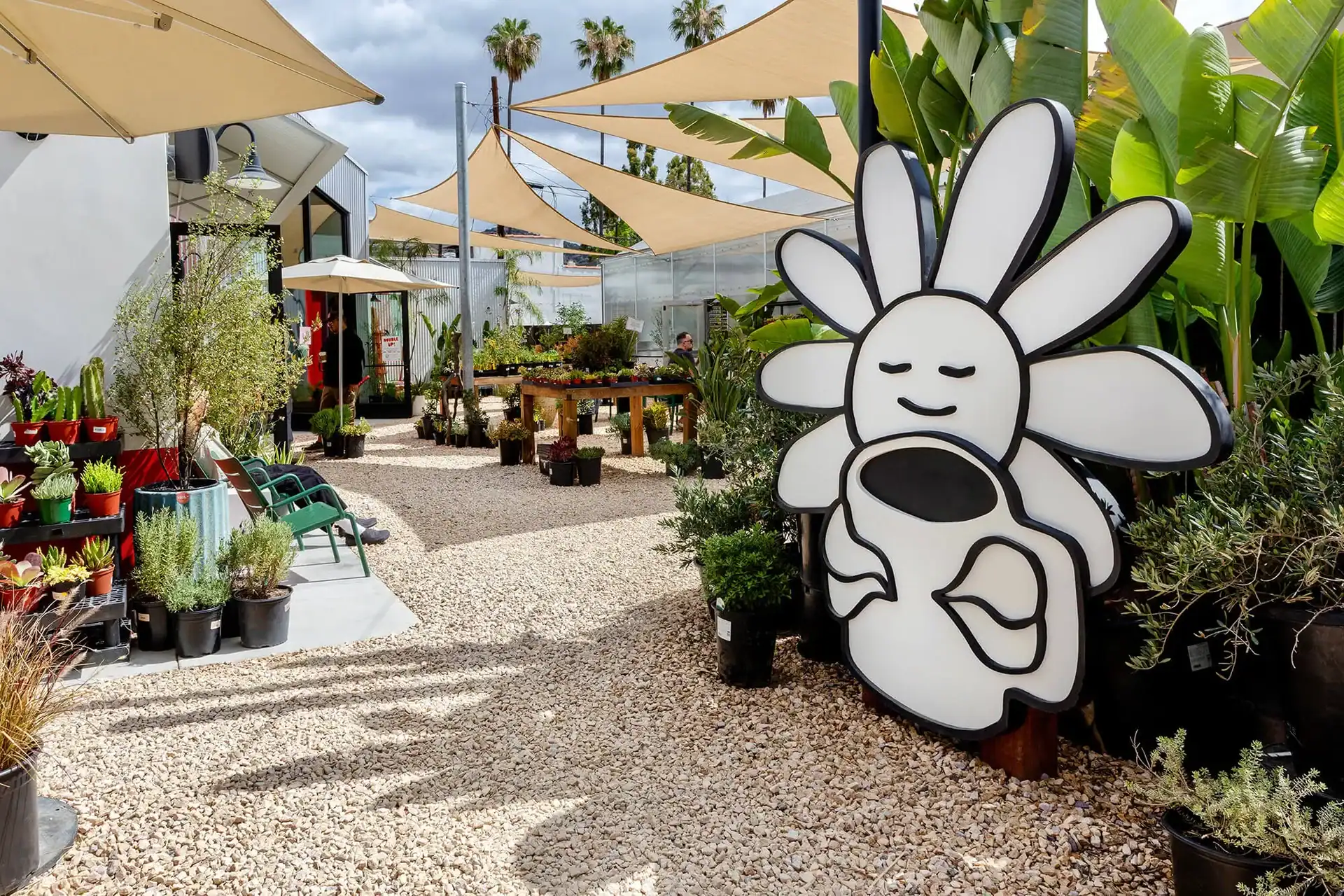 Creatures Plants Coffee