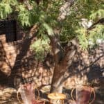 3666 Roderick Rd 45
